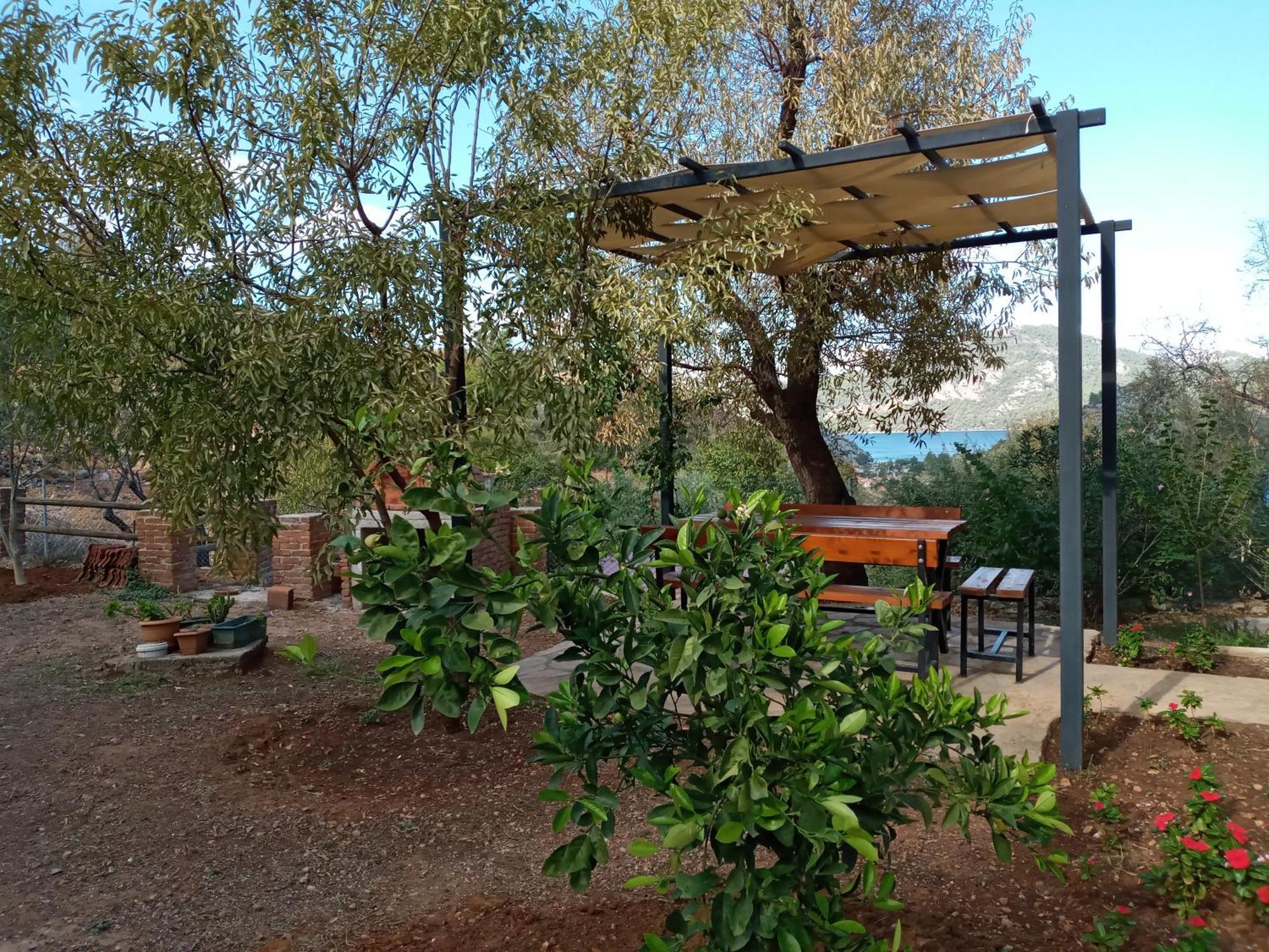 Almond Villa